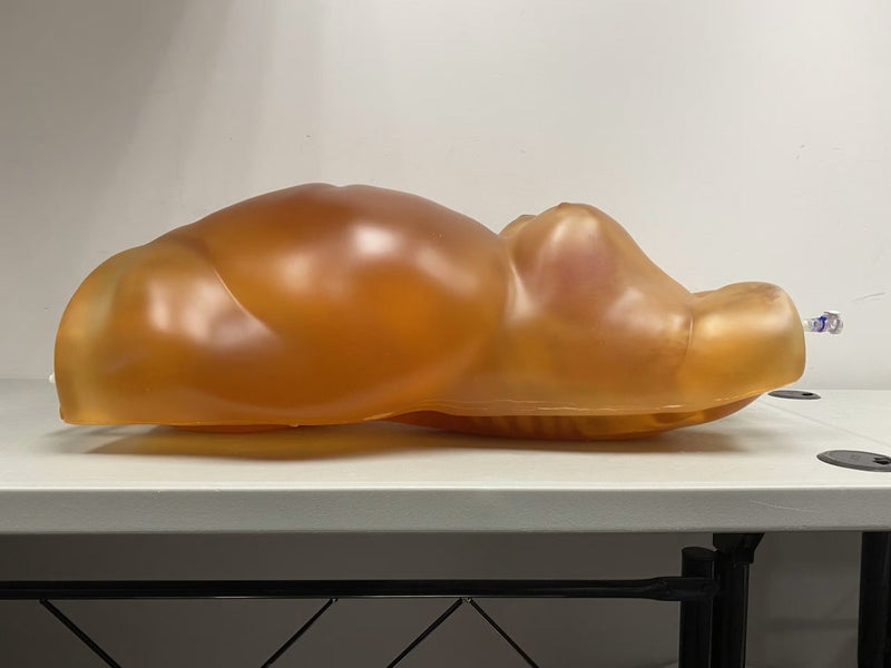 Fat Layer for Female Torso – BMI 35