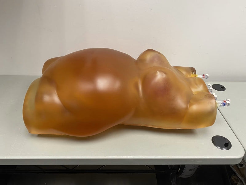 Fat Layer for Female Torso – BMI 35