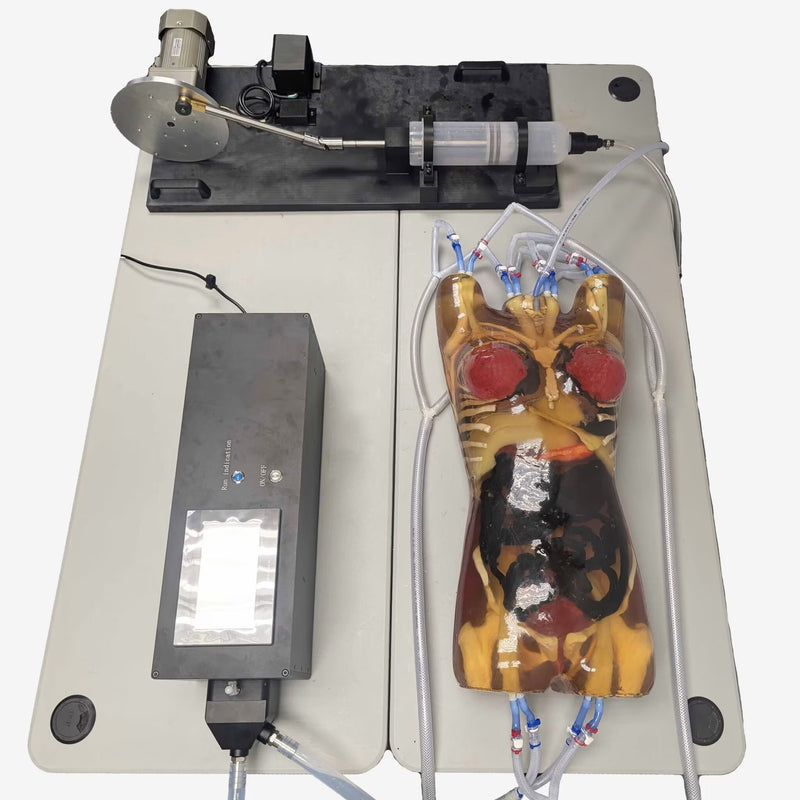 Adult Female Torso (Dynamic) for X-Ray CT, US