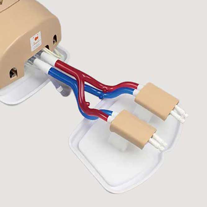 Femoral Access Module