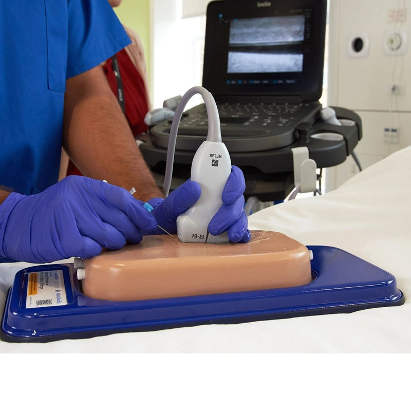 Femoral Access Ultrasound Simulator with Aneurysms