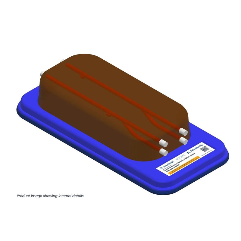 Femoral Access Ultrasound Simulator with Aneurysms