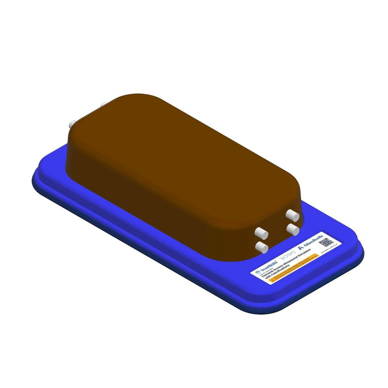 Femoral Access Ultrasound Simulator with Calcifications