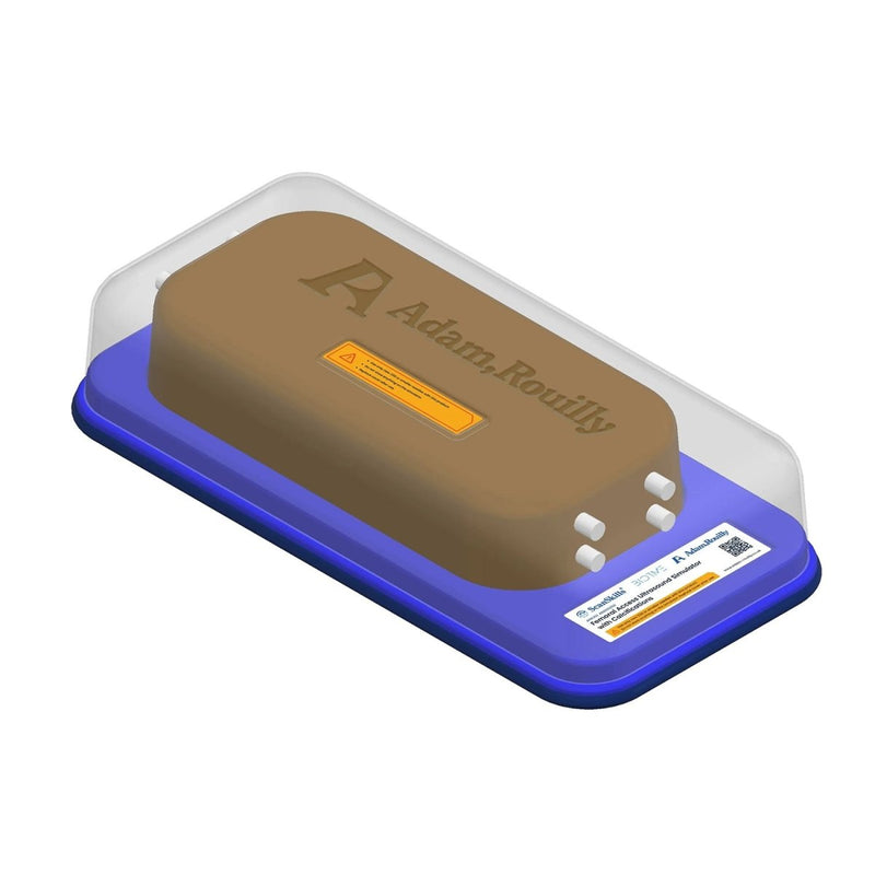 Femoral Access Ultrasound Simulator with Calcifications