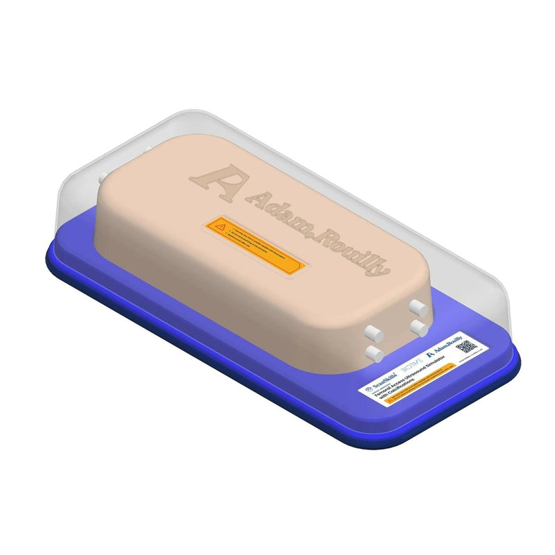 Femoral Access Ultrasound Simulator with Calcifications