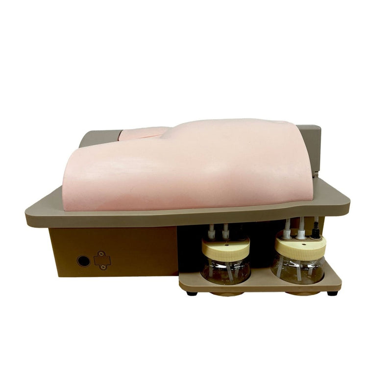 Femoral Artery Puncture Training Model