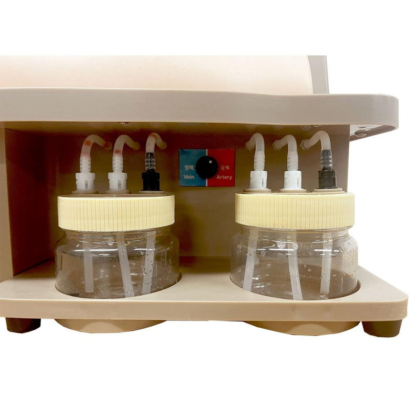 Femoral Artery Puncture Training Model