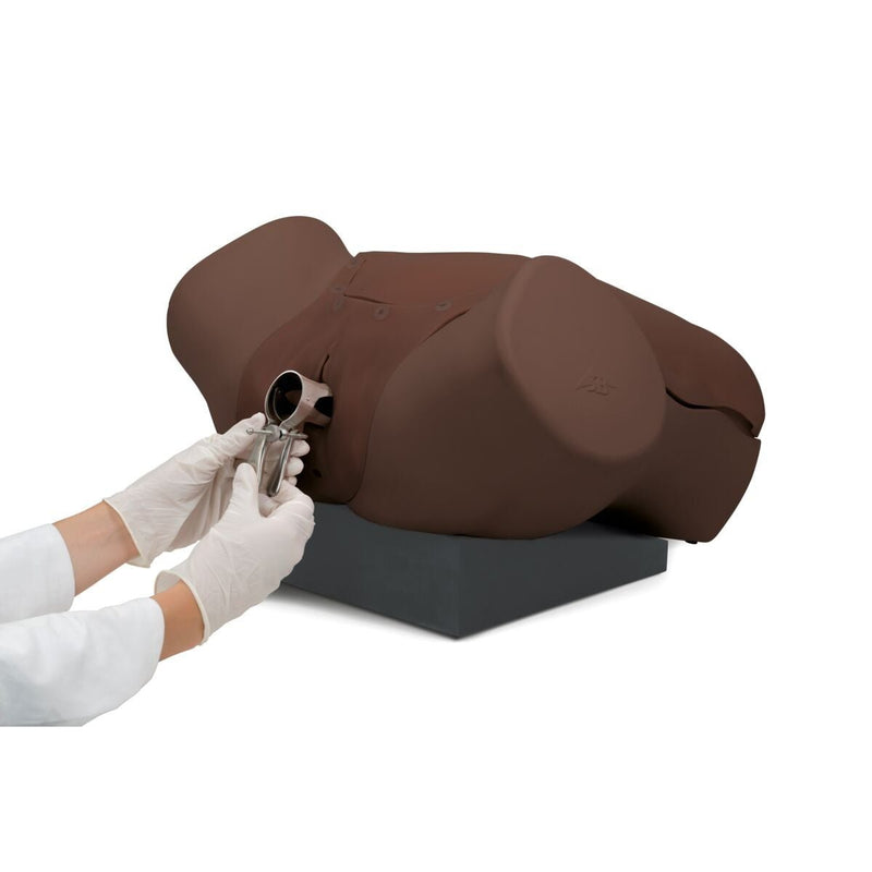 Gynecologic Skills Trainer, Dark Skin