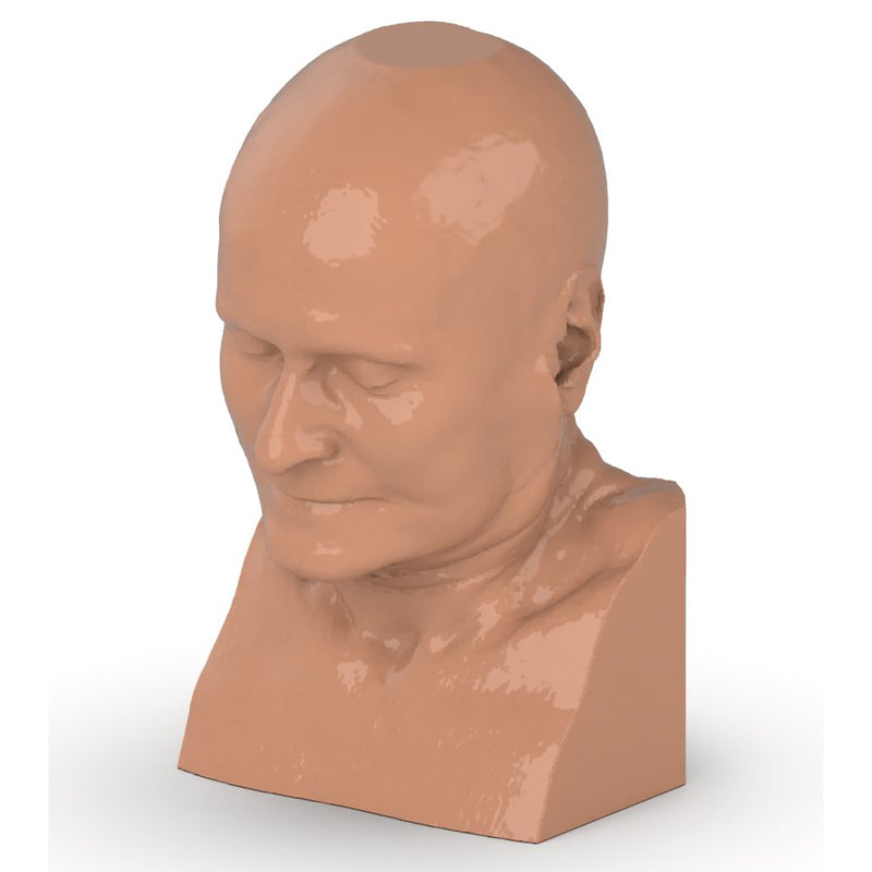 CTA Head and Neck Phantom for CT Scan and X-Ray Training