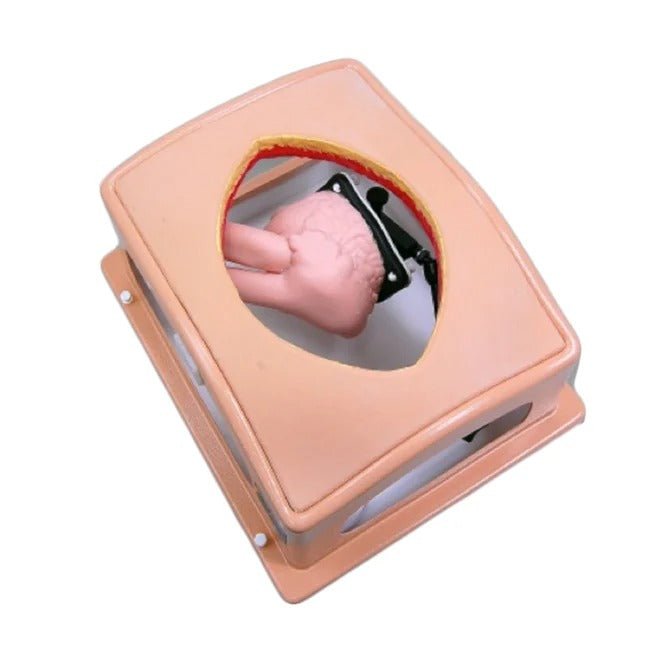 Heart Case Trainer with Modules