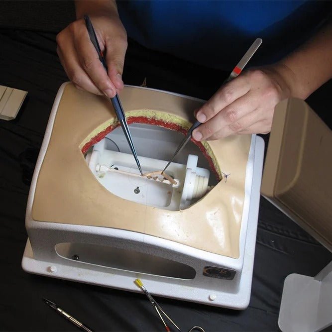 Heart Case Trainer with Modules