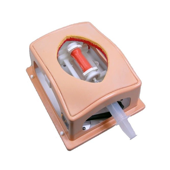 Heart Case Trainer with Modules