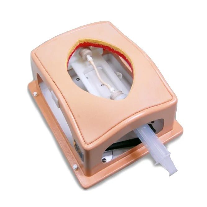 Heart Case Trainer with Modules