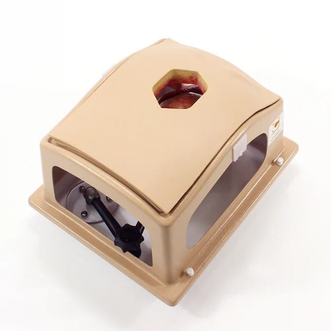 Heart Case Trainer with Modules