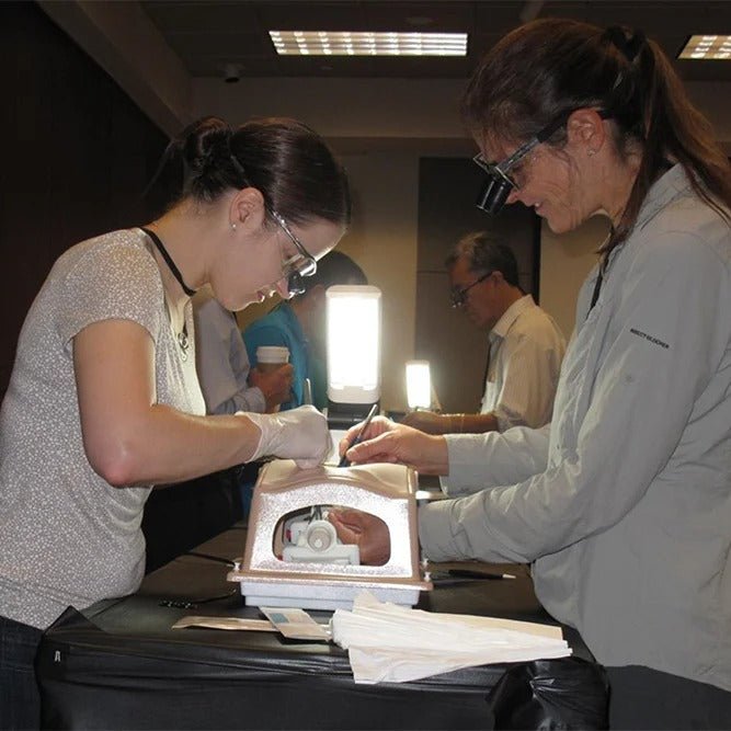 Heart Case Trainer with Modules