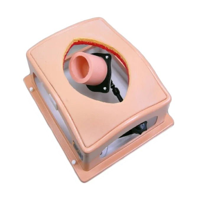 Heart Case Trainer with Modules