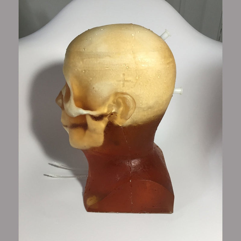 Hematoma Adult Head Phantom for X-Ray CT, Ultrasound and MRI