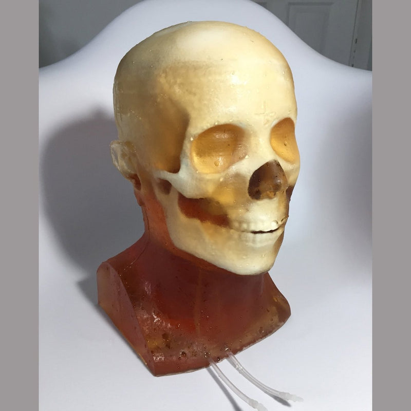 Hematoma Adult Head Phantom for X-Ray CT, Ultrasound and MRI