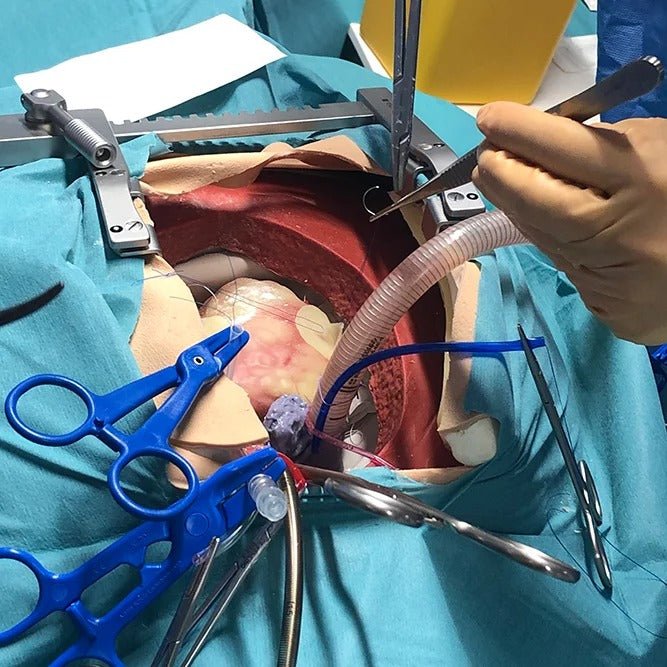 High Fidelity CT Surgical Trainer
