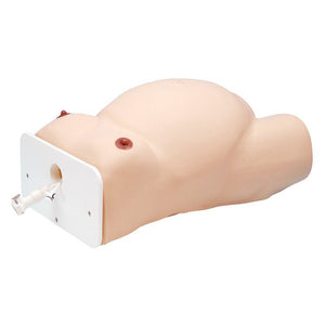 Koken ECV (External Cephalic Version) Model