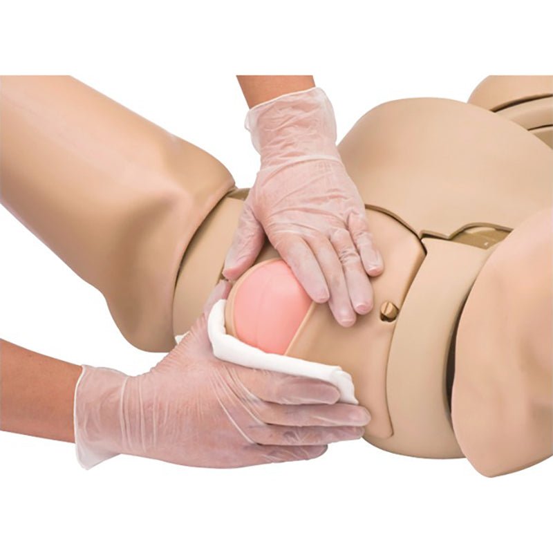 Koken Full-Body Pregnancy Simulator Ⅱ