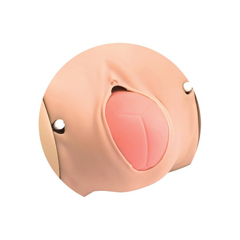 Koken Full-Body Pregnancy Simulator Ⅱ