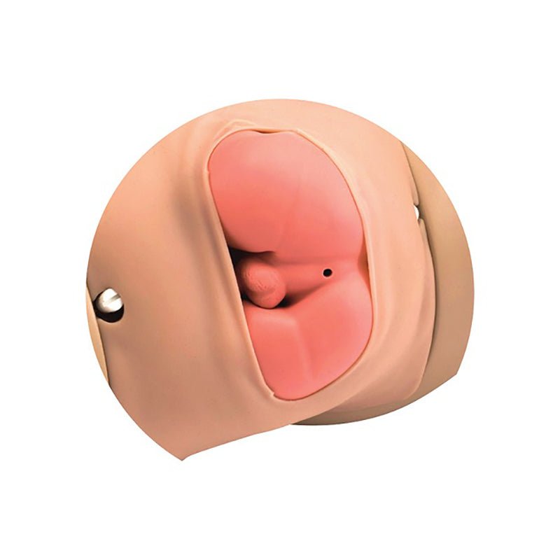 Koken Full-Body Pregnancy Simulator Ⅱ