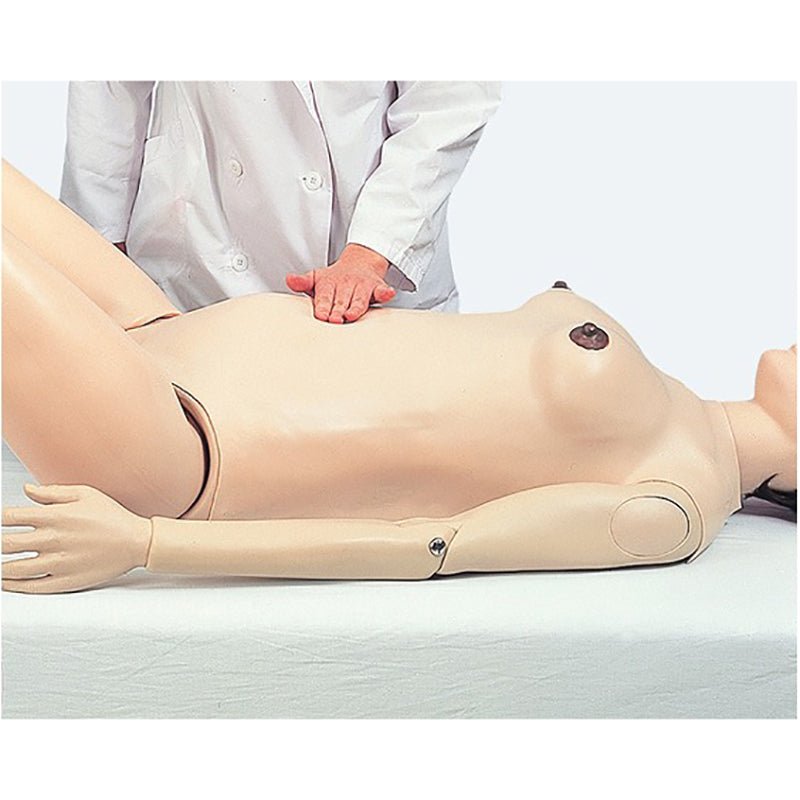 Koken Full-Body Pregnancy Simulator Ⅱ