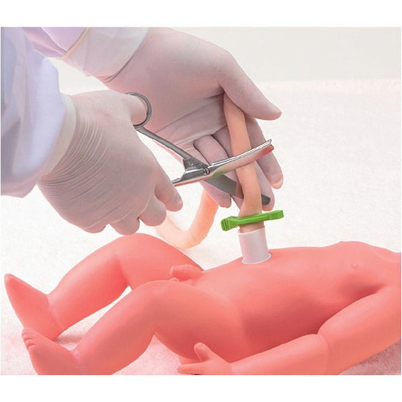 Koken Obstetric Assistant Model Set type Ⅱ, Hiroko