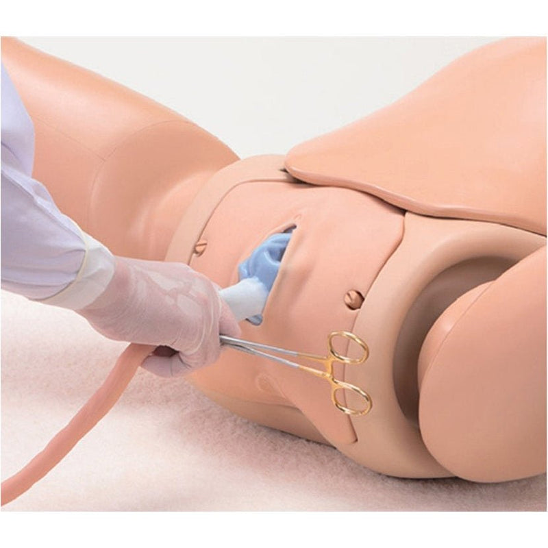 Koken Obstetric Assistant Model Set type Ⅱ, Hiroko