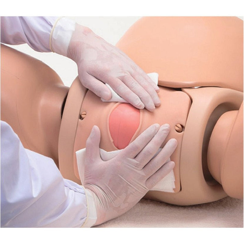 Koken Obstetric Assistant Model Set type Ⅱ, Hiroko