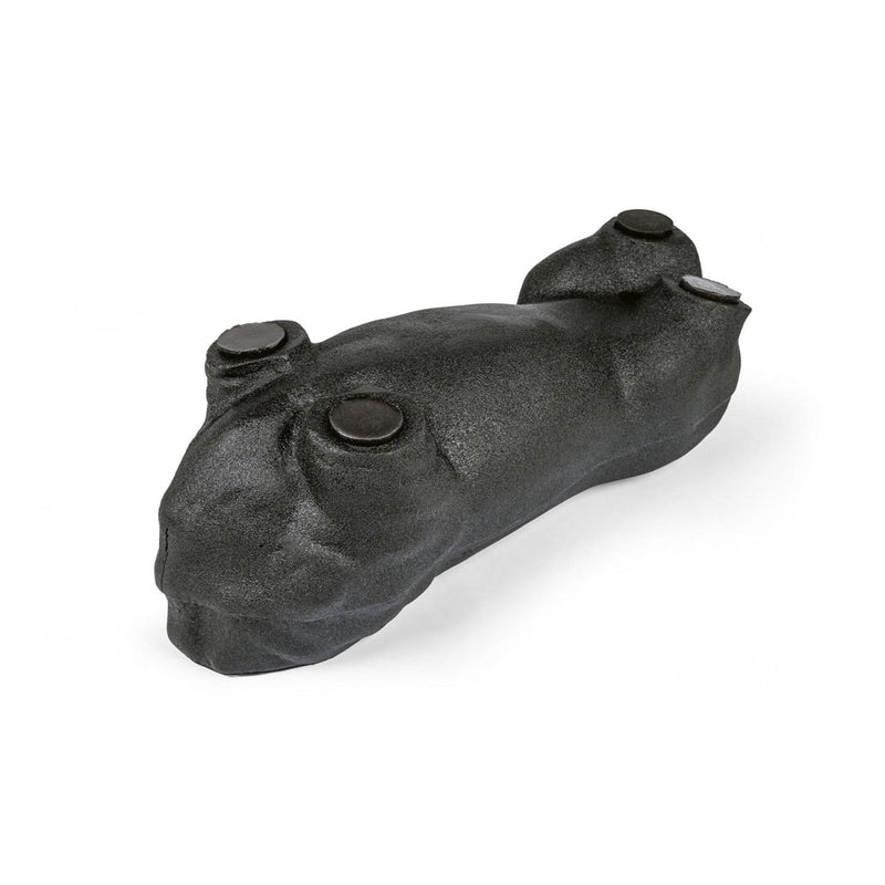 Lillie Canine Ultrasound Phantom Training Kit