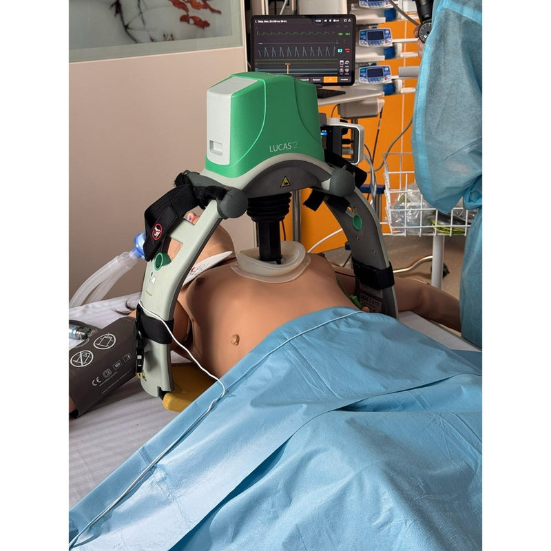 LISA Patient Simulator