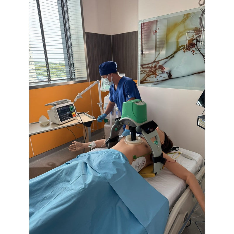 LISA Patient Simulator