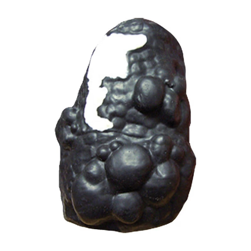 Lou-Wheeze™ Smoker's Lungs Comparison Model