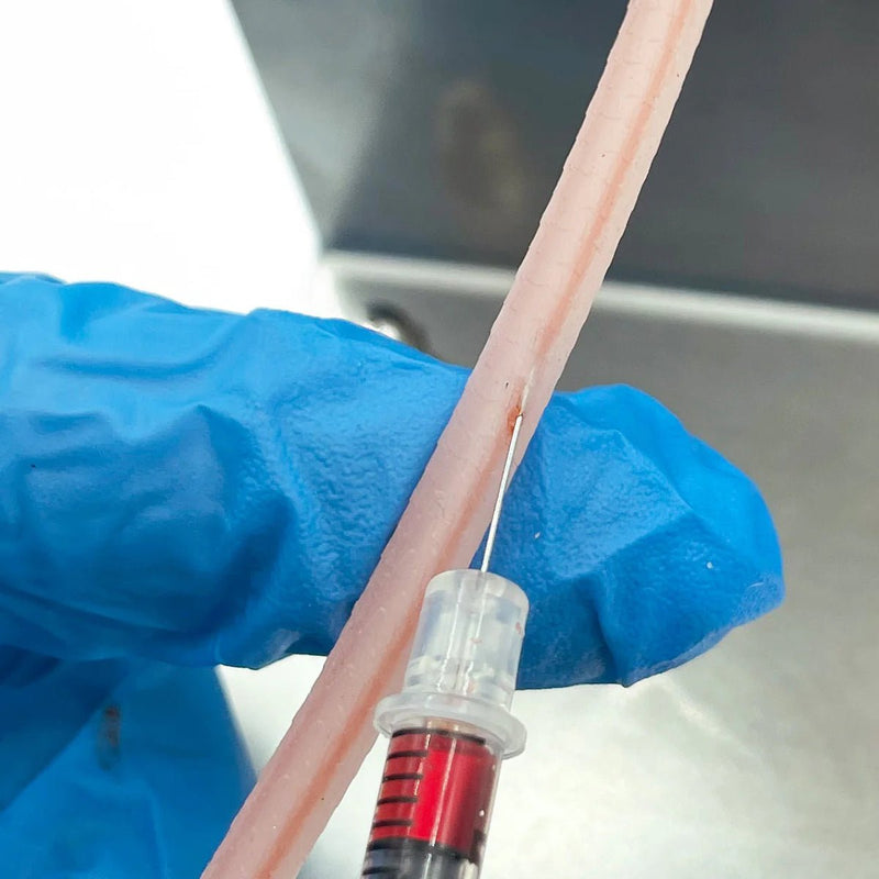 Mousetail Training Set