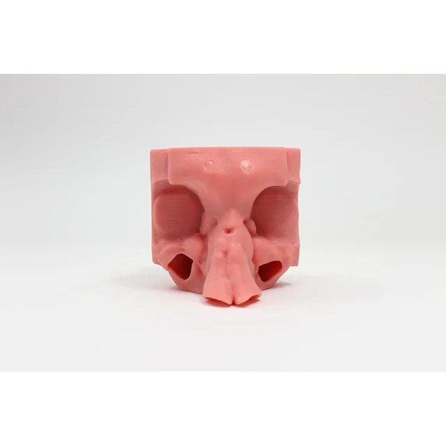 Multi-Sinus Trainer