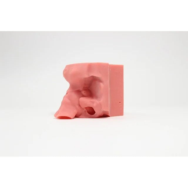 Multi-Sinus Trainer