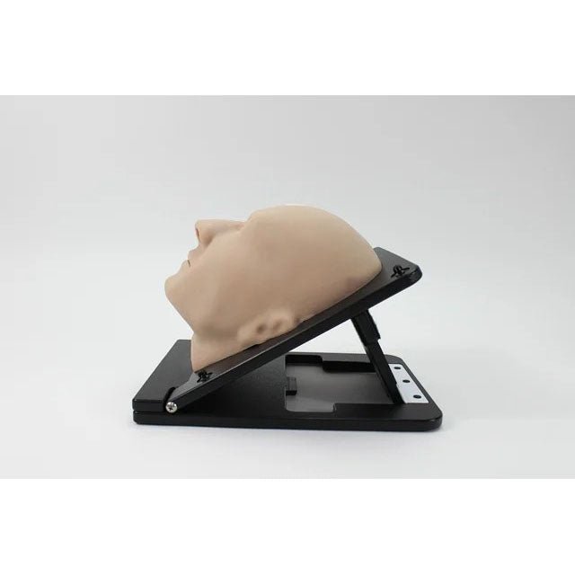 Multi-Sinus Trainer