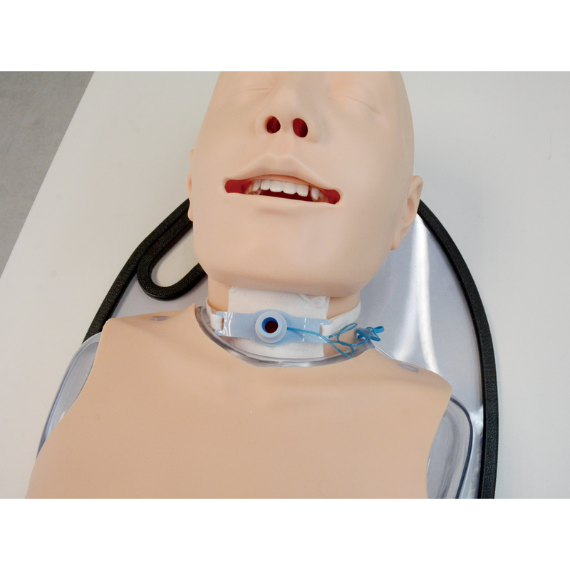 Tube Feeding Simulator Plus NG, OG and PEG