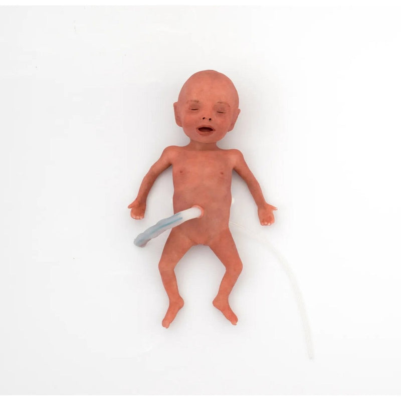 NENASim Preemie Patient Simulator