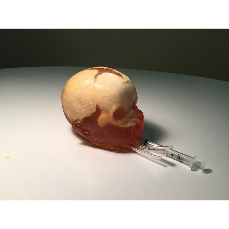 Newborn Head for Ultrasound, MRI and CT applications (Dynamic)