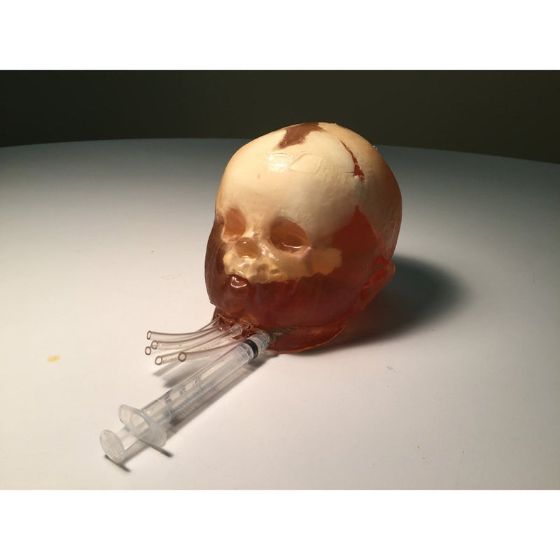 Newborn Head for Ultrasound, MRI and CT applications (Dynamic)