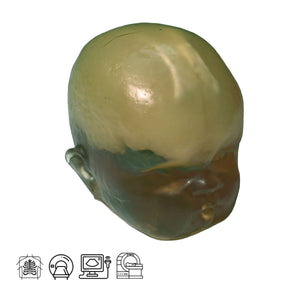 Newborn Head Phantom for X-Ray CT, Ultrasound and MRI Training (Simple)