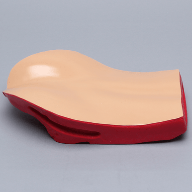 Opaque Cover for Vertebroplasty Trunk #SB1513-38