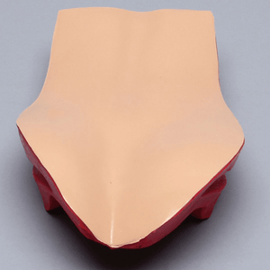Opaque Cover for Vertebroplasty Trunk #SB1513-38