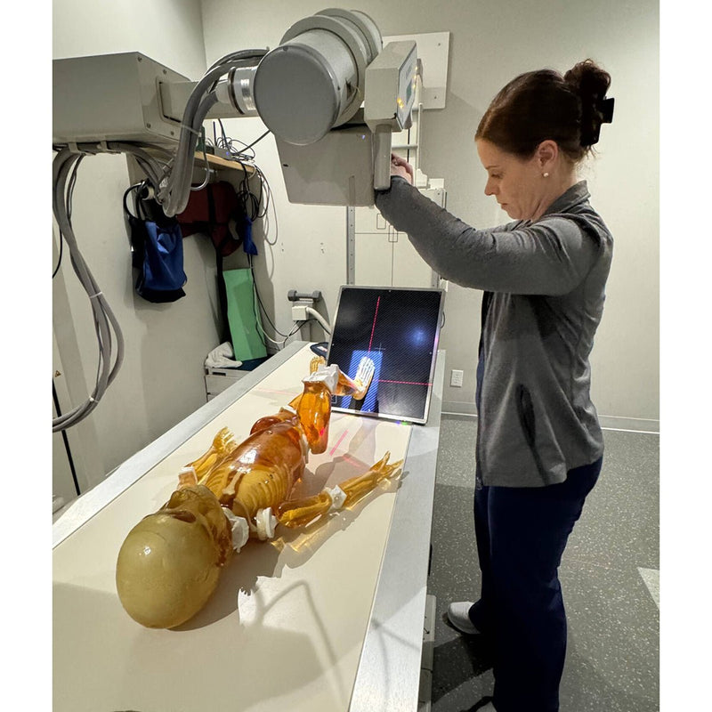 Pediatric Full Human Body Phantom for X-Ray CT & MRI Training