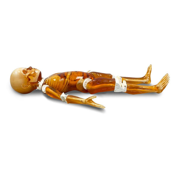 Pediatric Full Human Body Phantom for X-Ray CT & MRI Training ...