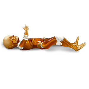 Pediatric Full Human Body Phantom for X-Ray, CT Scan and Ultrasound