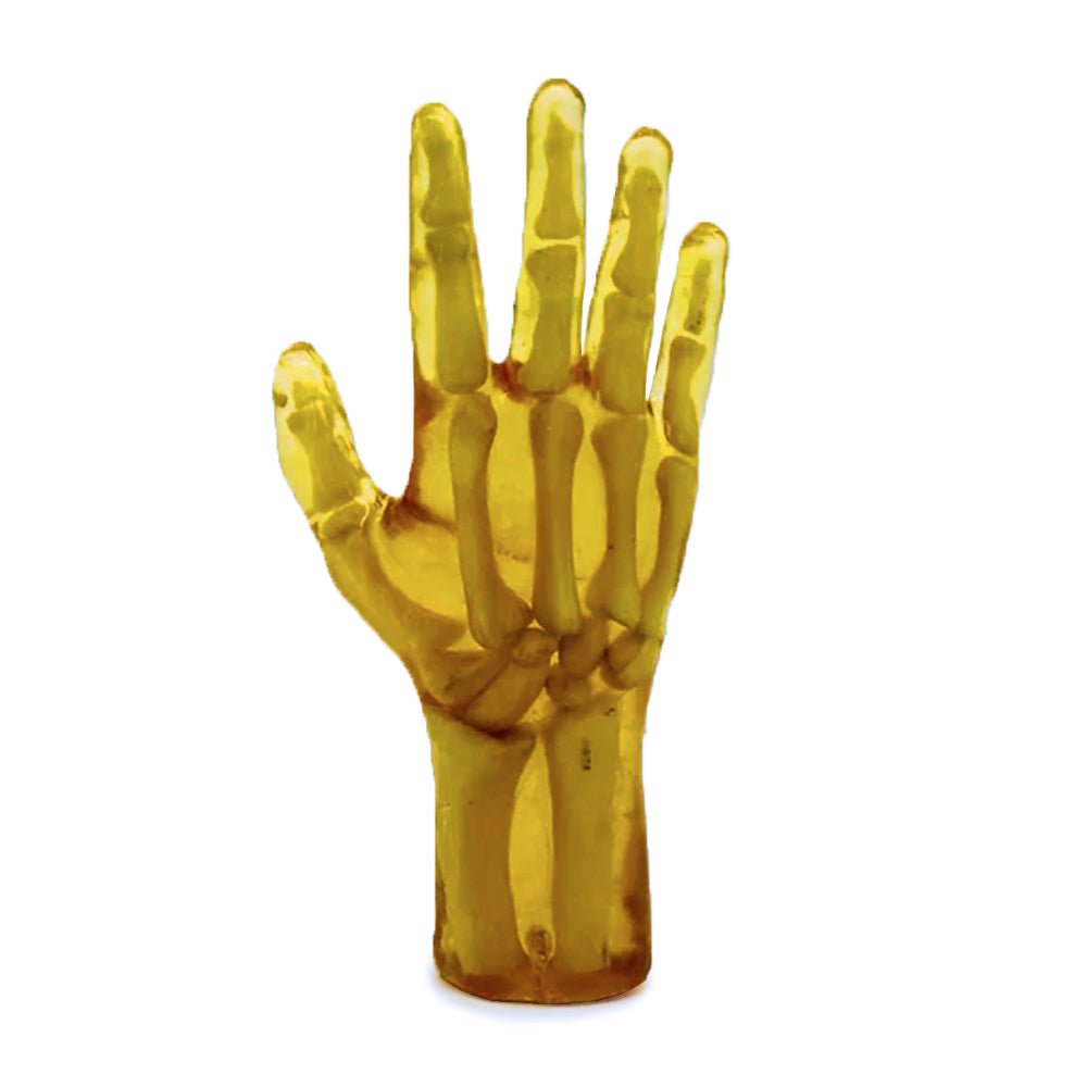 X Ray Rabbit Hand Pediatric Hand for X-Ray CT, US and MRI – GTSimulators.com